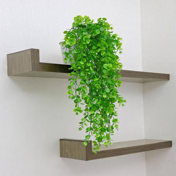 1pc Artificial Eucalyptus Vine String With Gum Leaves Wall Decoration, Han