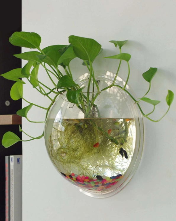 1pc Clear Wall Mounted Plant Pot, Simple Plastic Hanging Plant Container For Household