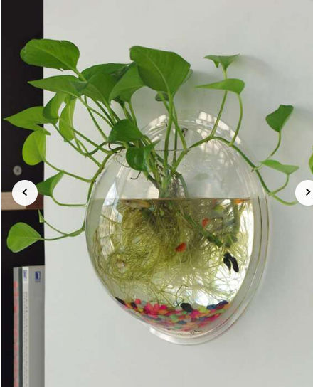 1pc Clear Wall Mounted Plant Pot, Simple Plastic Hanging Plant Container For Household