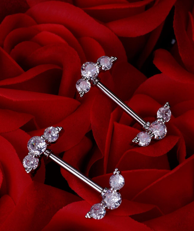 2 قطعة / المجموعة مثير براقة 316l الجراحية الصلب سوبر لامعة واضحة حلقات الحلمة الحلمة مسمار الكرة الحلمة الحديد خواتم الحلمة ثقب المجوهرات للنساء الفتيات والرجال للمواعدة هدية