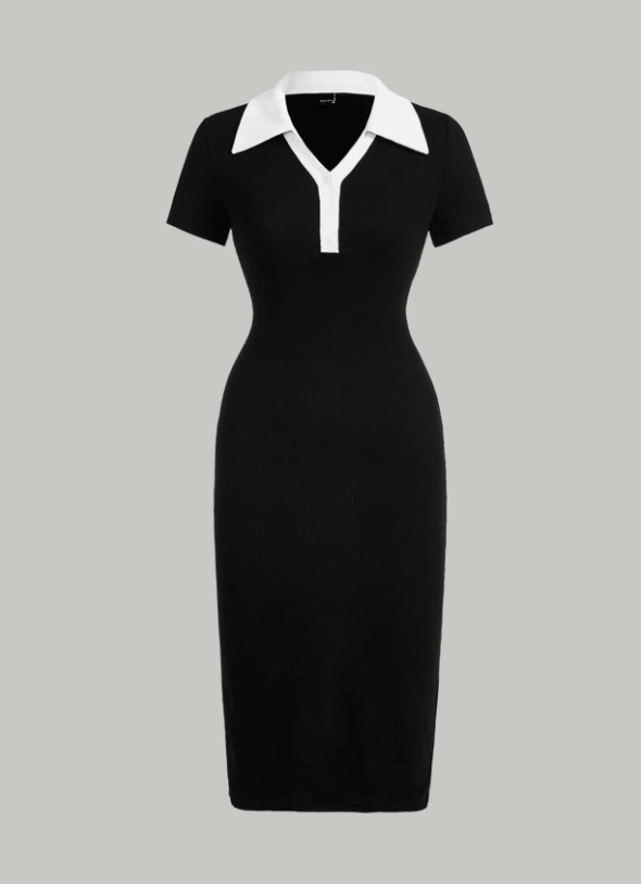 SHEIN MOD Contrast Collar Button Front Dress
